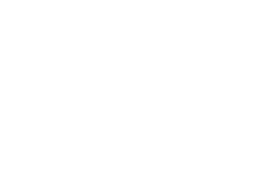 Elect Antonio Baciu for City Council District 5